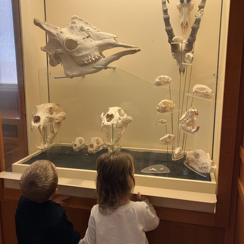 Výlet do Slovenského národného múzea