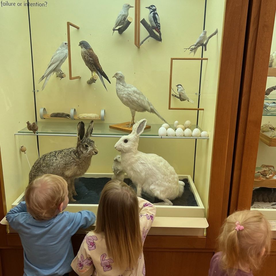 Výlet do Slovenského národného múzea