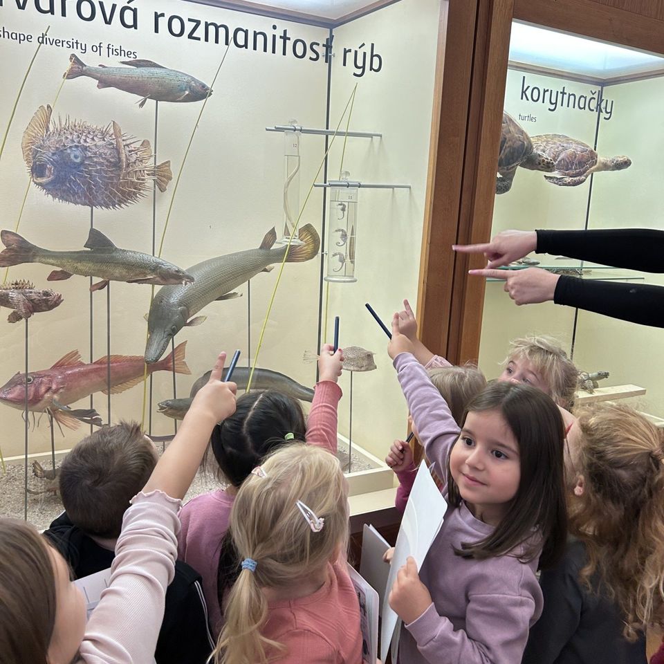 Výlet do Slovenského národného múzea