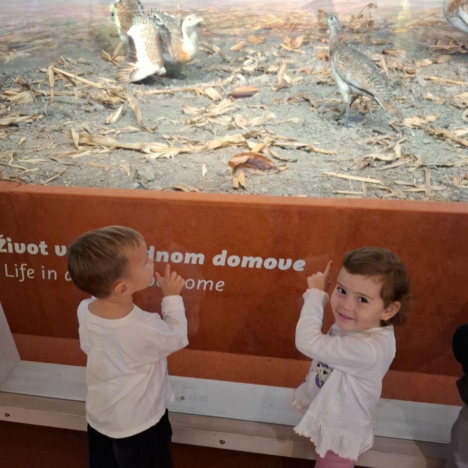 Výlet do Slovenského národného múzea