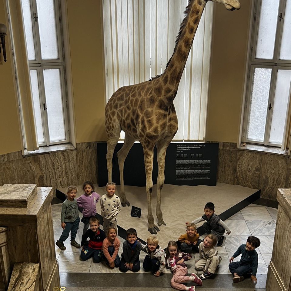 Výlet do Slovenského národného múzea