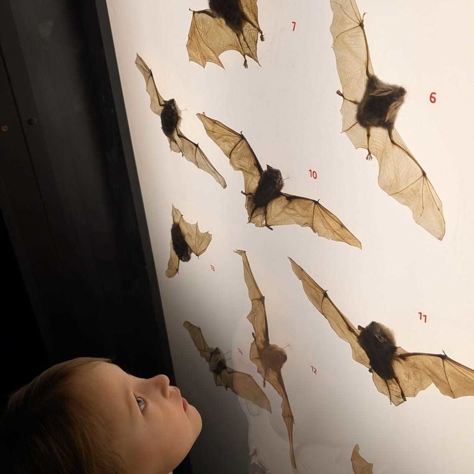 Výlet do Slovenského národného múzea