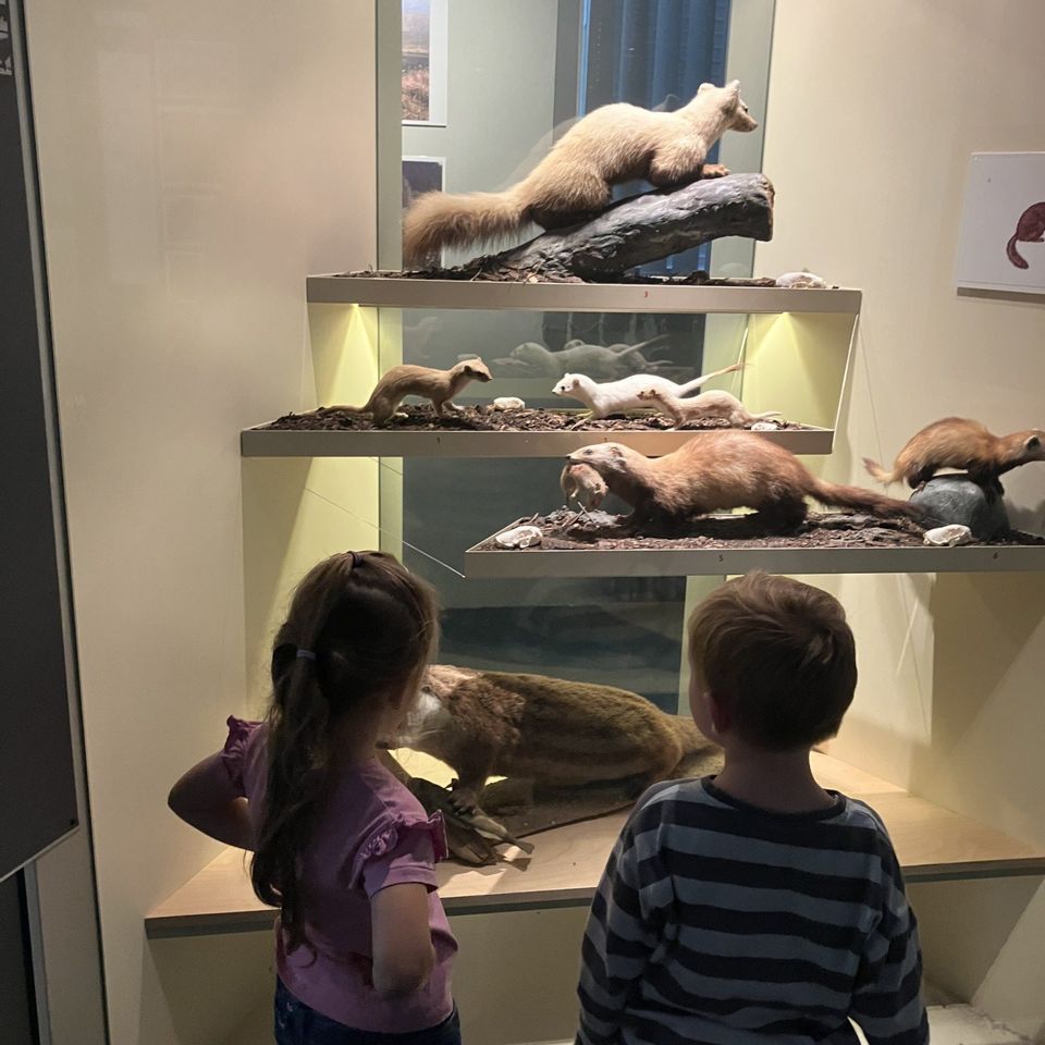 Výlet do Slovenského národného múzea