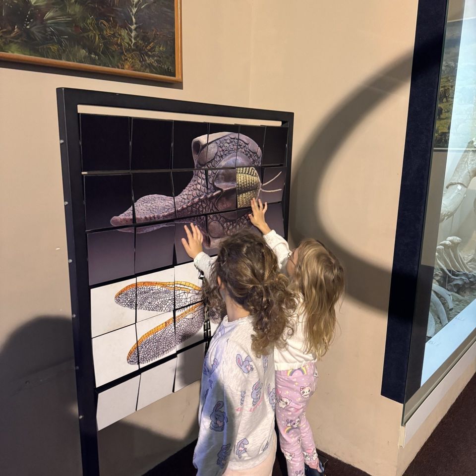 Výlet do Slovenského národného múzea