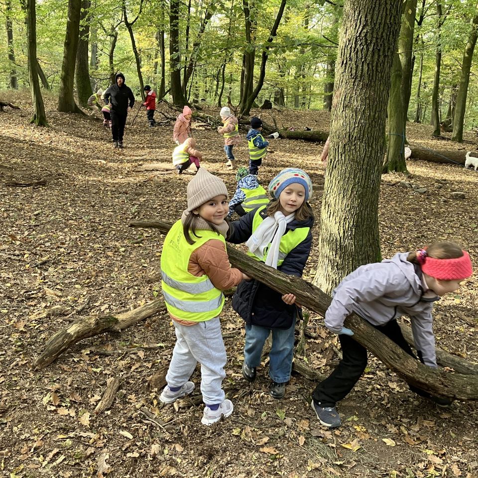 Forest School s CIS