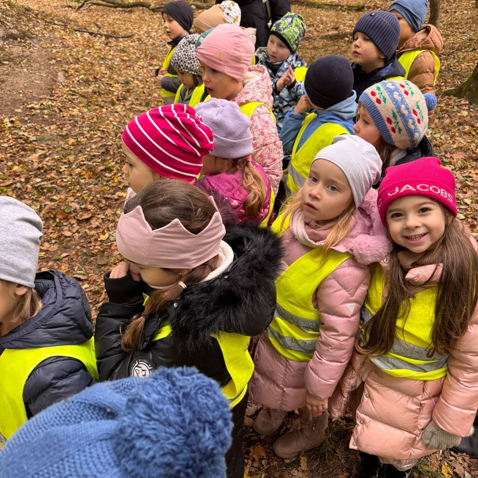 Forest School s CIS