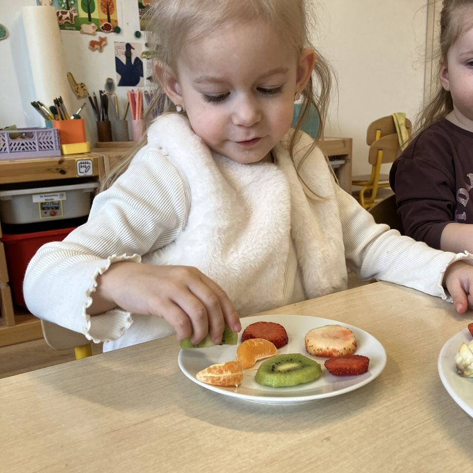 Shopping and Cooking