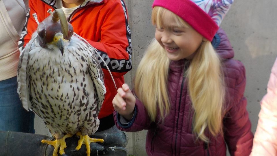 Birds of Prey