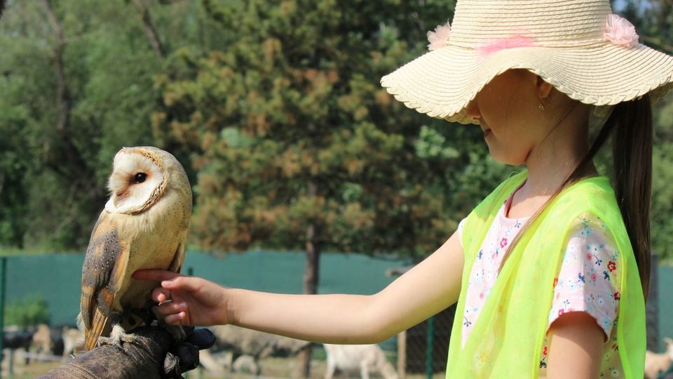 Výlet do ZOO