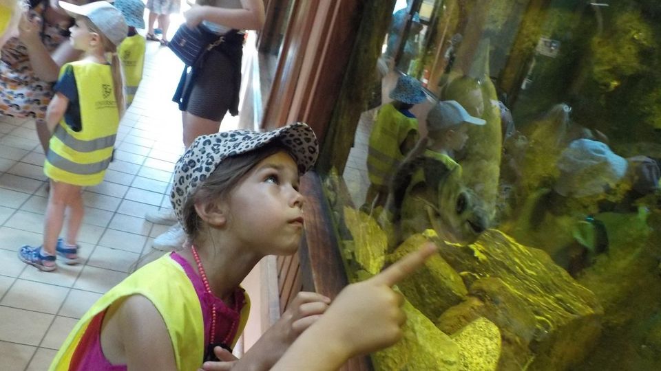 Fantastický výlet do ZOO