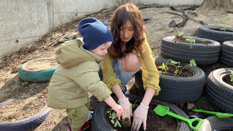 Gardening and renovating