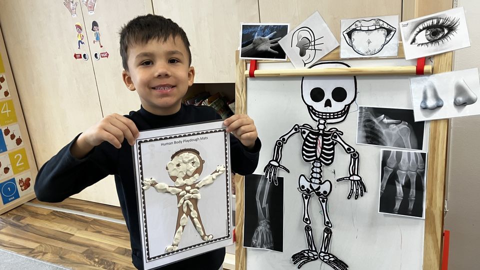 Our bodies, laboratories