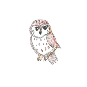 FALCONS