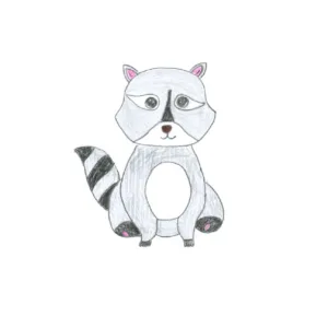 RACCOONS