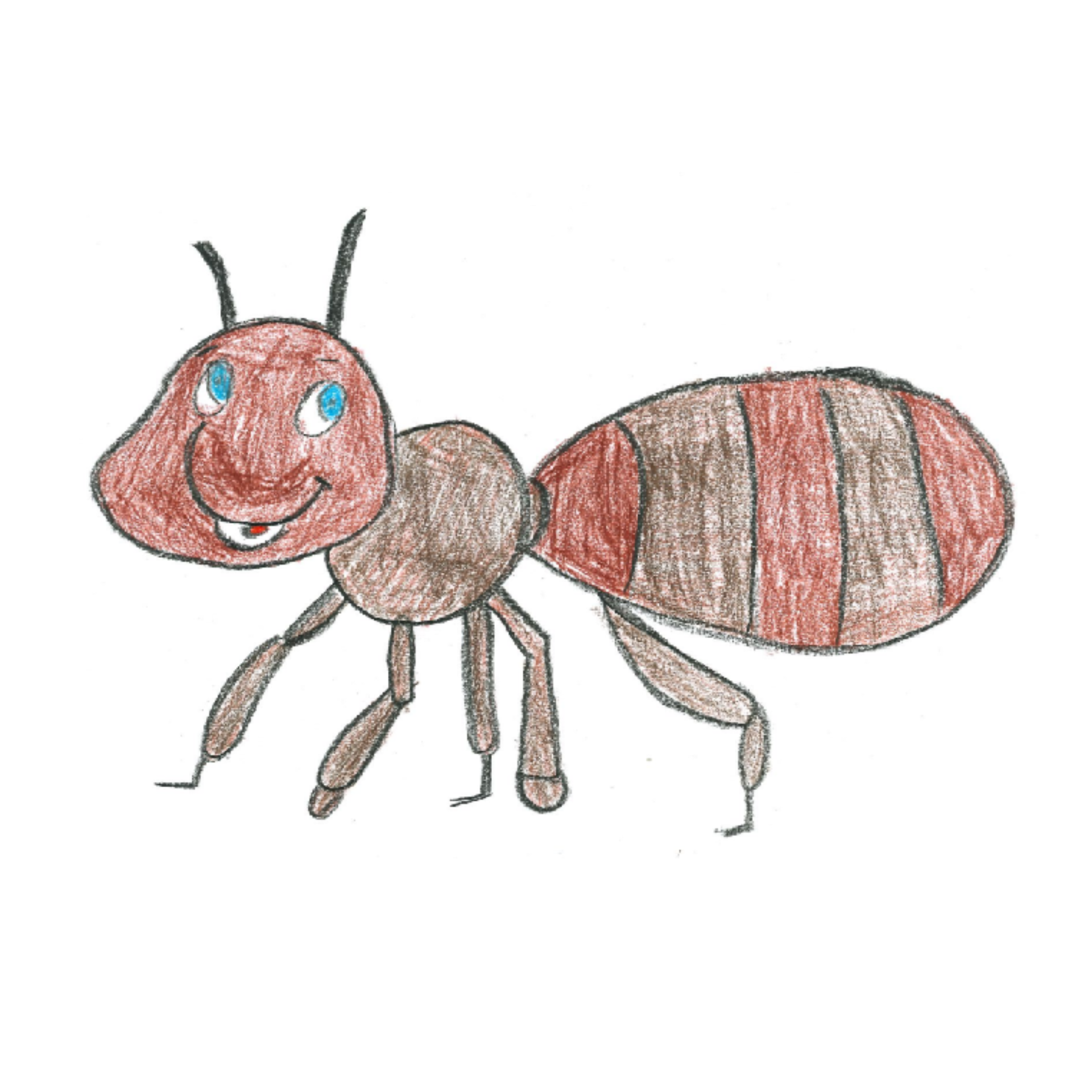ANTS