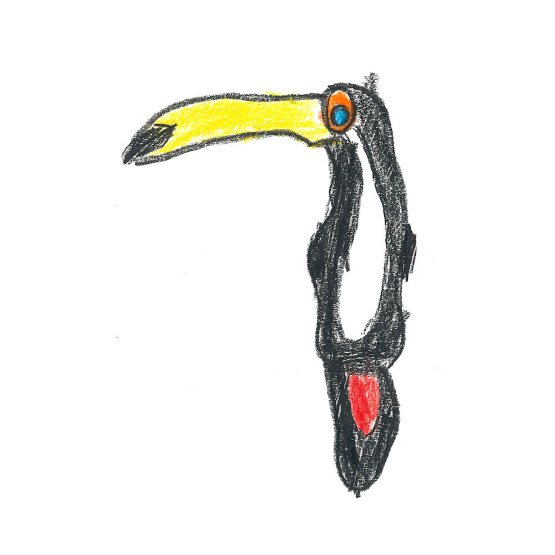 TOUCANS