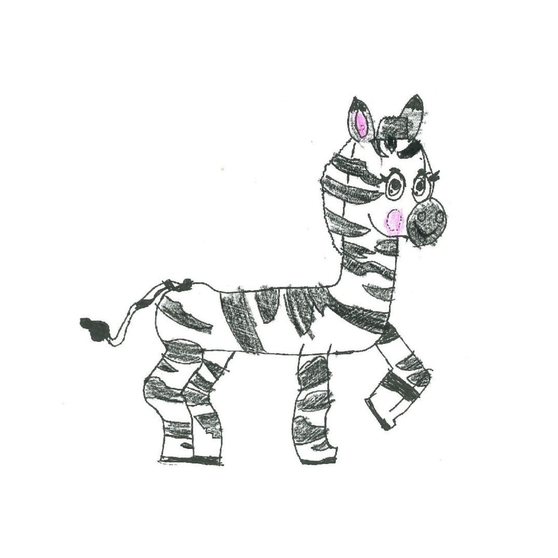 ZEBRAS