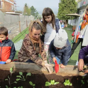 Gardening