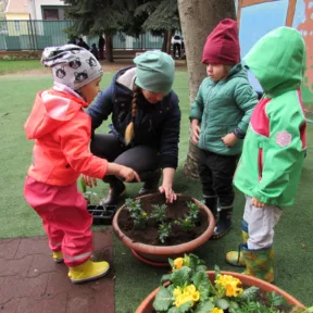 Gardening