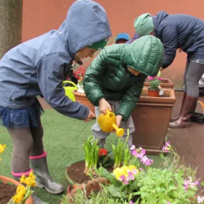 Gardening