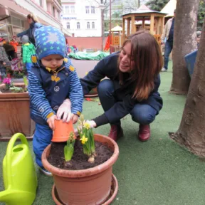 Gardening