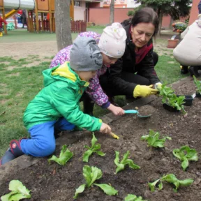 Gardening