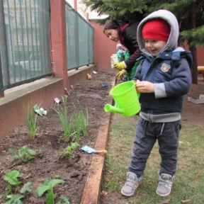 Gardening