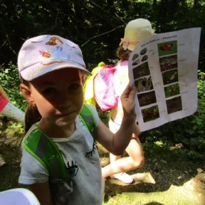 Summer camp