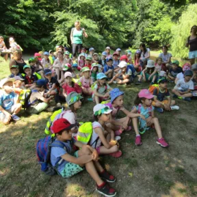 Summer camp