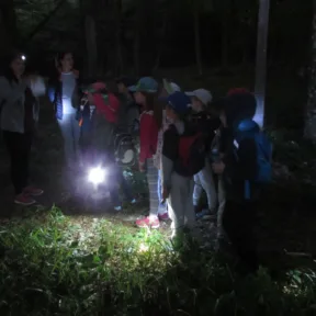 Summer camp