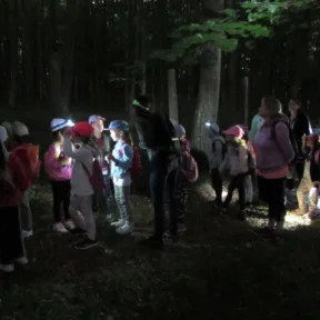 Summer camp