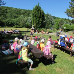 Summer camp