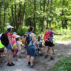 Summer camp