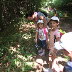 Summer camp