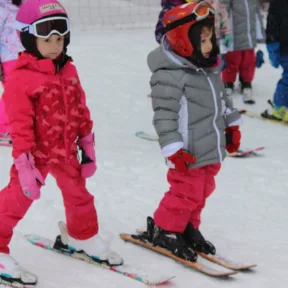 Skiing Course