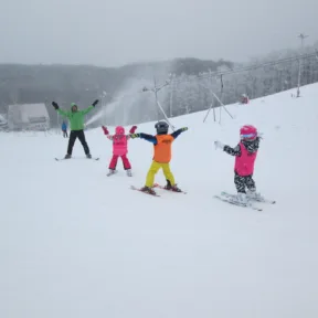 Skiing Course