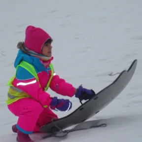 Sledging