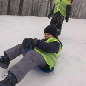 Sledging