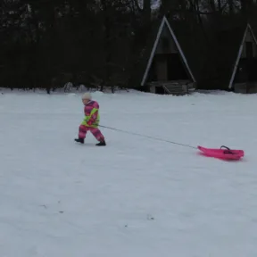 Sledging
