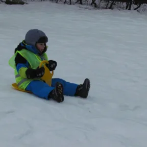 Sledging