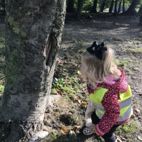 Autumn Colours week
