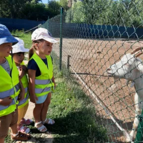 Tennis Course
