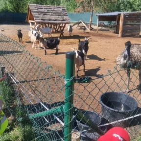 Devin mini farm