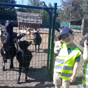 Devin mini farm