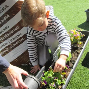 Gardening