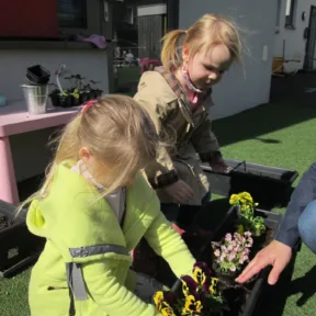 Gardening