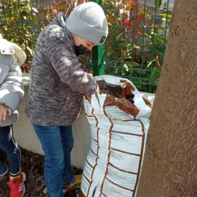 Gardening