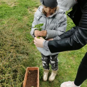 Gardening