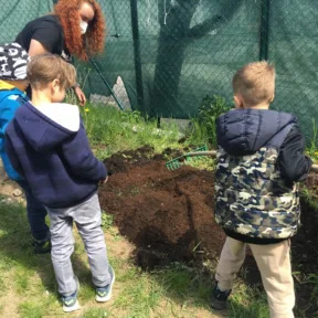 Gardening