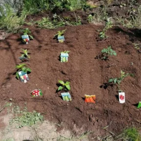 Gardening